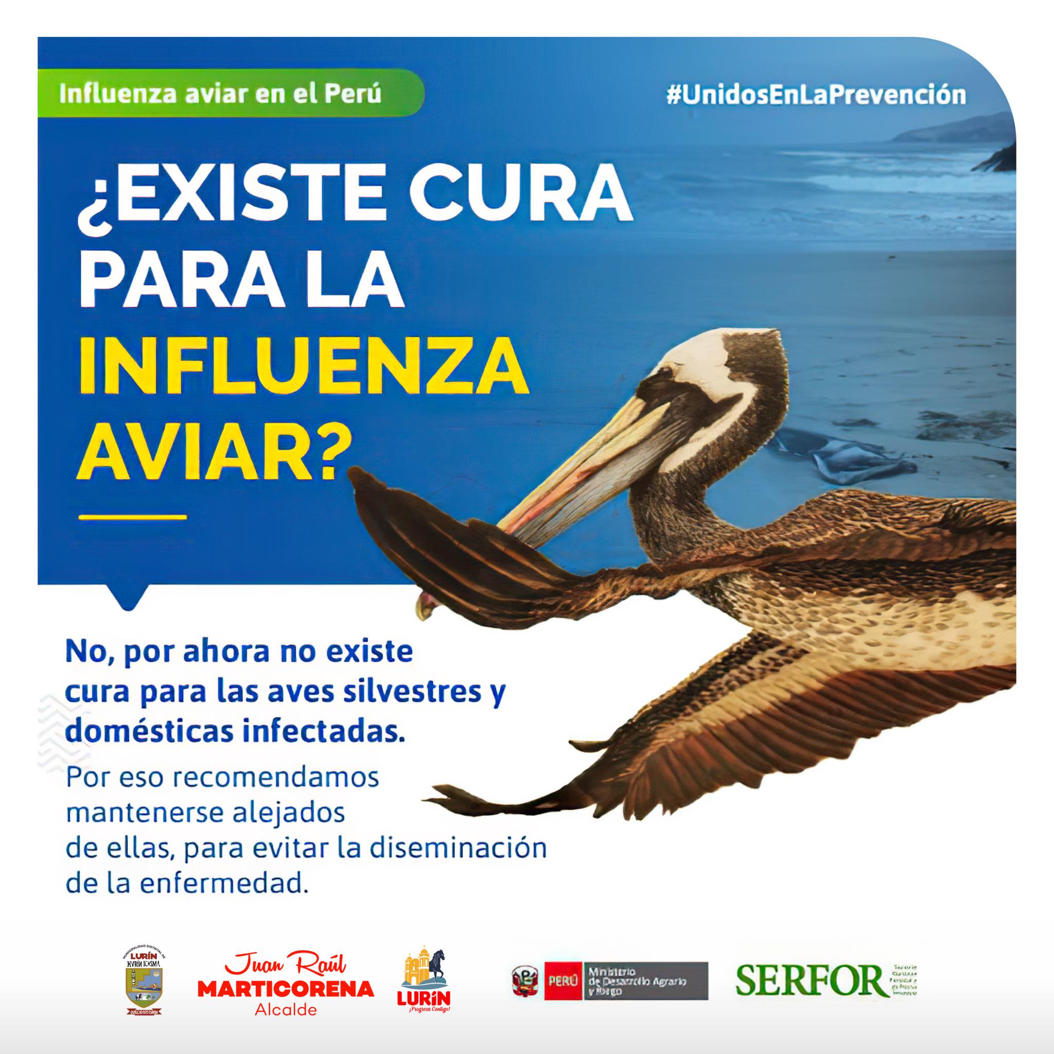 Unidad Funcional de Imagen Institucional