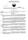 Vista preliminar de documento RDR 0175-2025