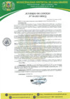 Vista preliminar de documento Acuerdo de Concejo 090-2025