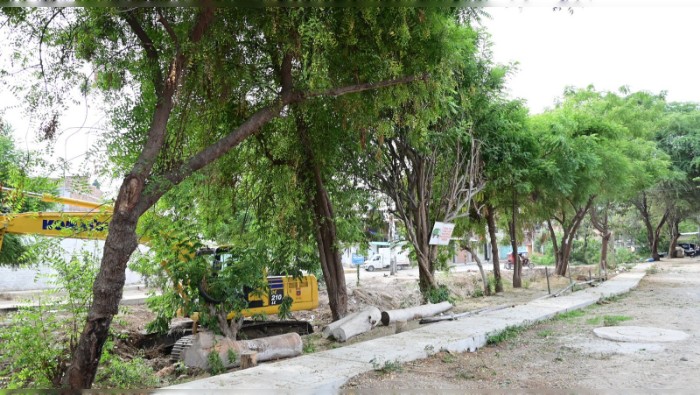 Poda de árboles