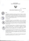 Vista preliminar de documento RPE Nº 088-2025