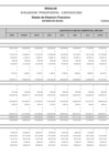 Vista preliminar de documento Año 2025 Estado de Situación Financiera – Febrero