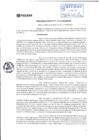Vista preliminar de documento rgm_211-12-2024_0001