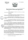 Vista preliminar de documento R.D.E. Nº038-2025-HNAL-OEA