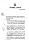Vista preliminar de documento RD 335-2025-PRODUCE-DS-PA