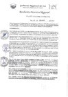 Vista preliminar de documento RDR-0123-2025
