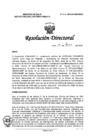 Vista preliminar de documento RD N° 066-2025-DG-INMP/MINSA