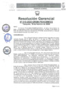 Vista preliminar de documento G.R. N° 010-2025-GRSM-PEHCBM-GG