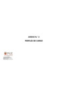 Vista preliminar de documento 6520193-anexo-2-perfiles-de-cargo
