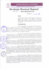 Vista preliminar de documento RDR 091-2025