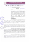 Vista preliminar de documento RDR 094-2025