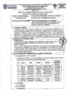Vista preliminar de documento TDR Nº 734.