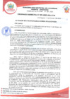 Vista preliminar de documento Ordenanza Municipal 002-2025