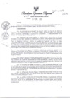 Vista preliminar de documento RER017-2025