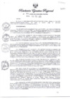 Vista preliminar de documento RER054-2025