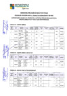 Vista preliminar de documento RESULTADOS FINALES