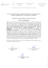 Vista preliminar de documento acta