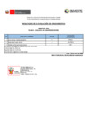 Vista preliminar de documento CAS 016 ANALISTA EN COMPENSACIONES ev con[R]