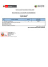 Vista preliminar de documento CAP 001 ASESOR II ev ps[R]
