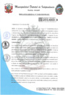 Vista preliminar de documento RESOLUCION GERENCIAL N°33-2025-MDI-GDEYS