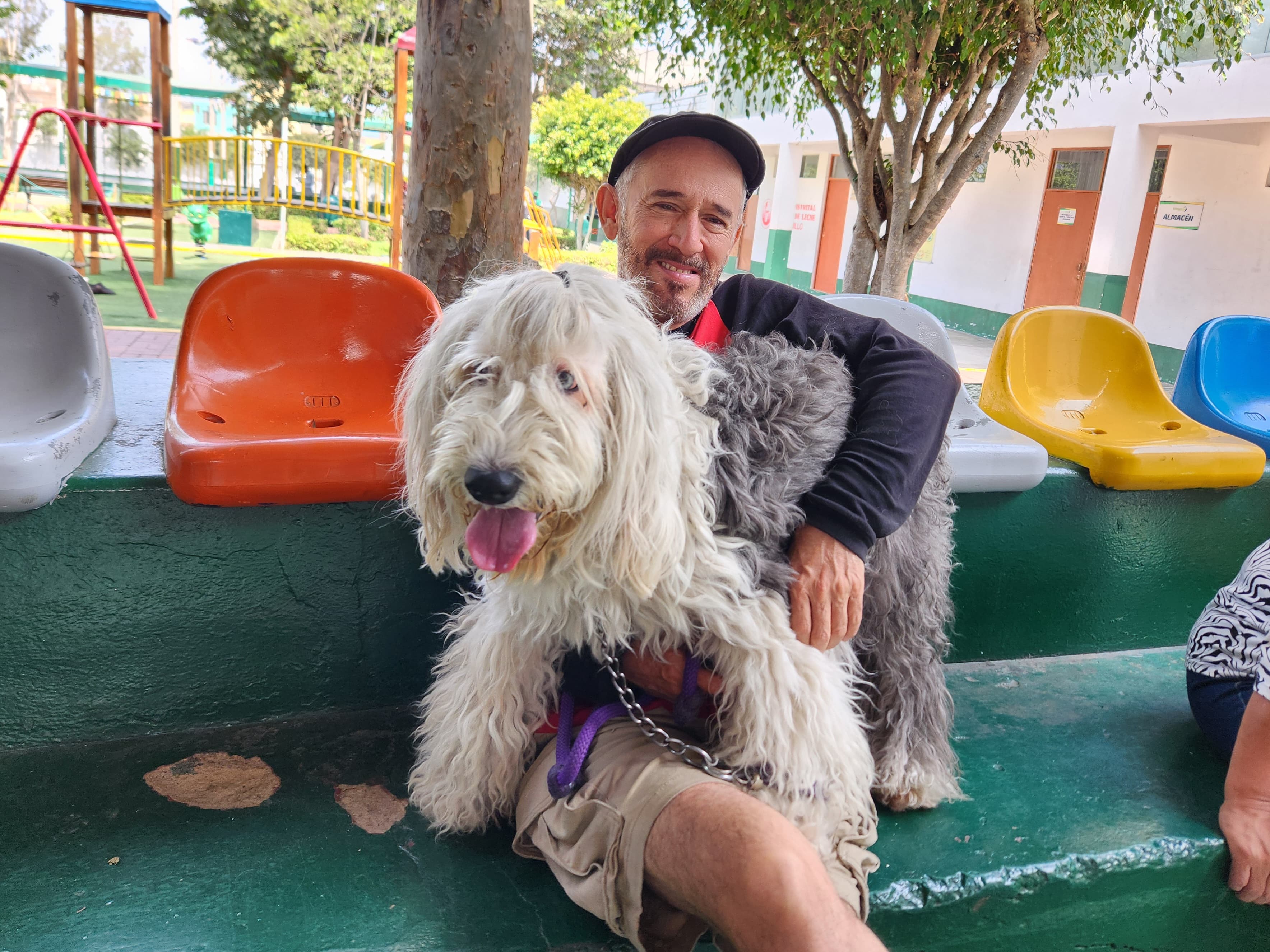 Municipalidad de Surquillo realizó exitosa campaña de esterilización y castración canina y felina