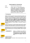 Vista preliminar de documento Pronunciamiento N° 013-2025/OSCE-DGR