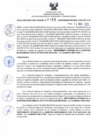 Vista preliminar de documento RDR N°195-2025-13-03-2025