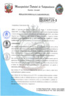 Vista preliminar de documento RESOLUCION GERENCIAL N°37-2025-MDI-GDEYS