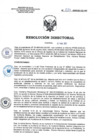 Vista preliminar de documento RD N°036-2025-SA-DG-INR