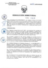 Vista preliminar de documento RD N°038-2025-SA-DG-INR
