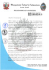 Vista preliminar de documento RESOLUCION GERENCIAL N°39-2025-MDI-GDEYS