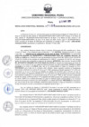 Vista preliminar de documento RDR N°198-2025-13-03-2025