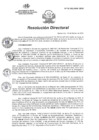Vista preliminar de documento RD N°031-2025
