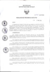 Vista preliminar de documento RPE Nº 090-2025