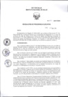 Vista preliminar de documento RPE Nº 091-2025