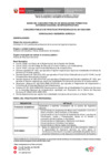 Vista preliminar de documento 01.Bases de Practicas N° 07-2025-ANIN