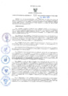 Vista preliminar de documento GRDS.117