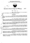 Vista preliminar de documento RDR 0183-2025