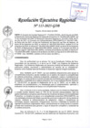 Vista preliminar de documento RER 115-2025-GOB