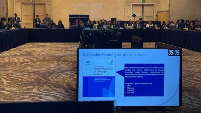 Perú fue elegido como líder del Subgrupo de Trabajo en Bienestar Mental del APEC
