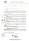 Vista preliminar de documento AC_019_2025_MDI