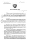 Vista preliminar de documento RD N°089-2025-HNCH-DG