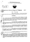 Vista preliminar de documento RDR 0191-2025