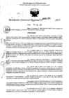 Vista preliminar de documento RDR 0193-2025