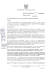 Vista preliminar de documento Resolución Nº 0213-2025-GM-MSS