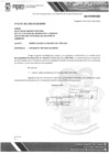 Vista preliminar de documento Saldos de Balance 2024