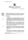 Vista preliminar de documento RD 376-2025-PRODUCE-DS-PA