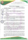 Vista preliminar de documento ORDENANZA MUNICIPAL 003-2025-MDR/AL