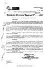 Vista preliminar de documento RDR 0196-2025