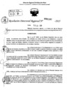 Vista preliminar de documento RDR 0197-2025